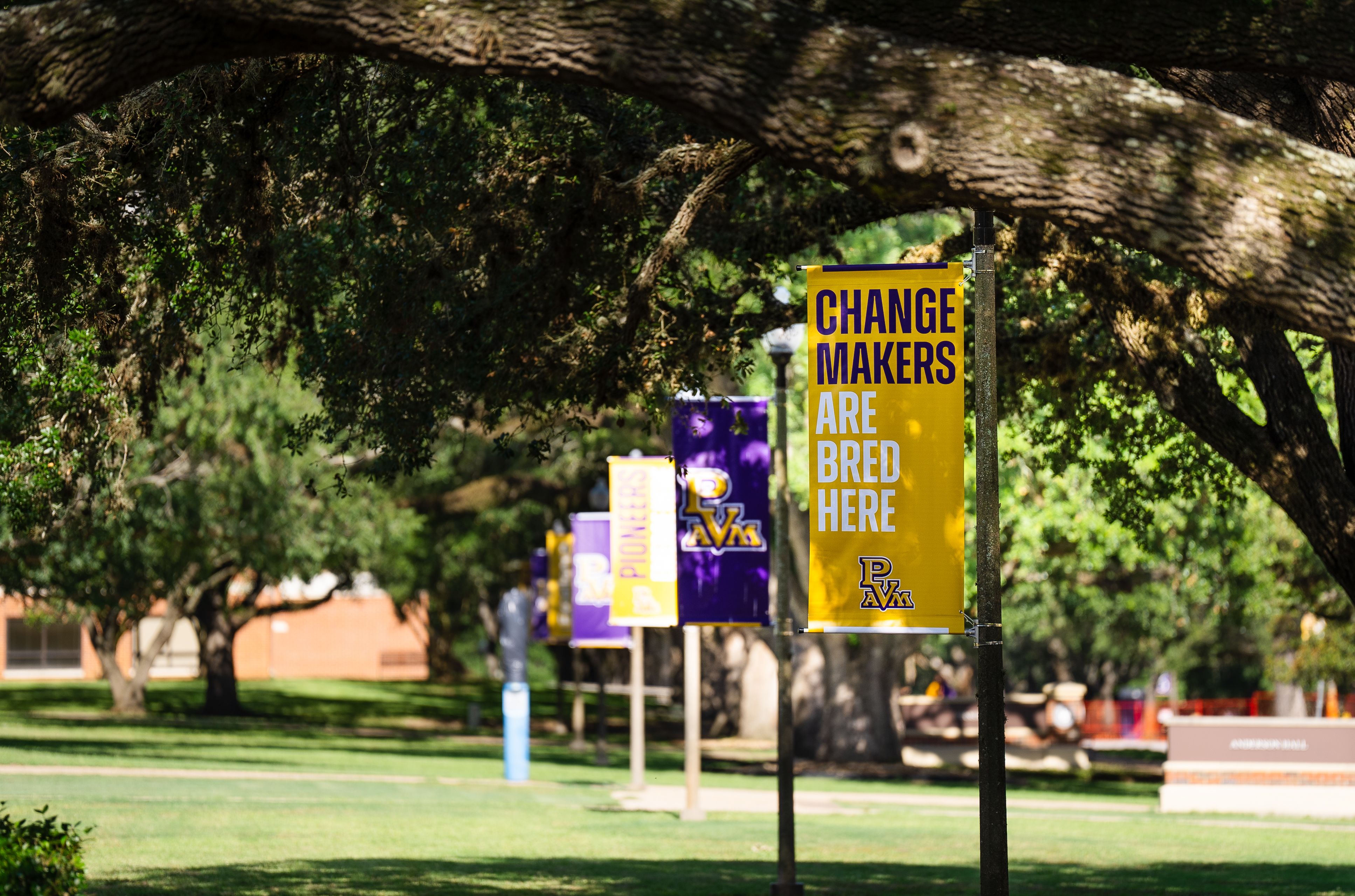 Landscape image of pole banners on campus